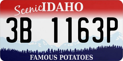 ID license plate 3B1163P