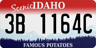 ID license plate 3B1164C