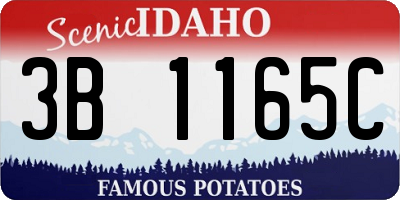 ID license plate 3B1165C