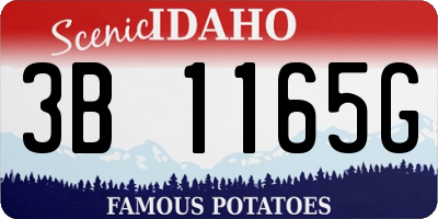 ID license plate 3B1165G