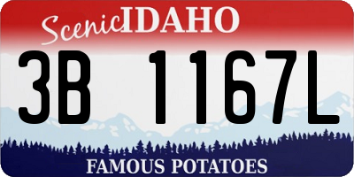 ID license plate 3B1167L