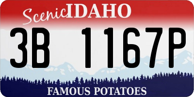 ID license plate 3B1167P