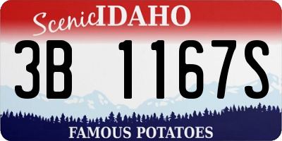 ID license plate 3B1167S