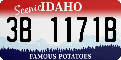 ID license plate 3B1171B