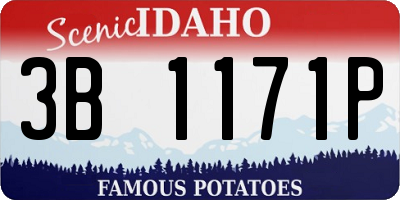 ID license plate 3B1171P
