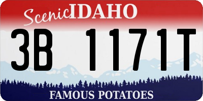 ID license plate 3B1171T
