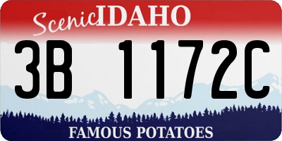ID license plate 3B1172C