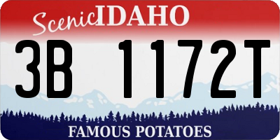 ID license plate 3B1172T