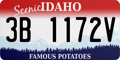 ID license plate 3B1172V