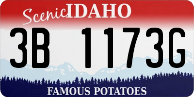 ID license plate 3B1173G