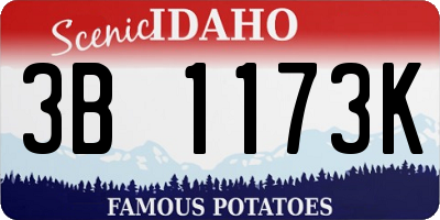 ID license plate 3B1173K