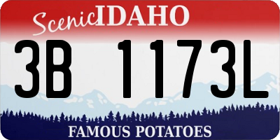 ID license plate 3B1173L