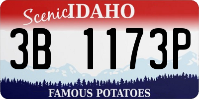 ID license plate 3B1173P