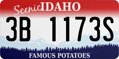 ID license plate 3B1173S
