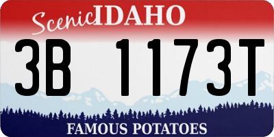 ID license plate 3B1173T