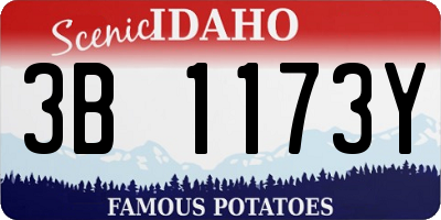 ID license plate 3B1173Y