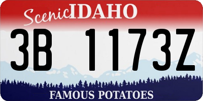 ID license plate 3B1173Z