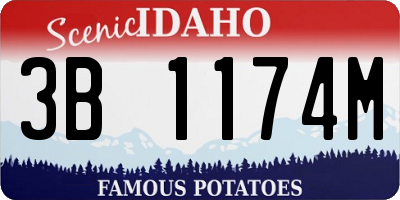 ID license plate 3B1174M