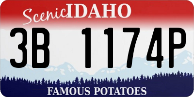 ID license plate 3B1174P