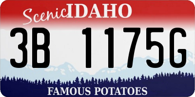 ID license plate 3B1175G