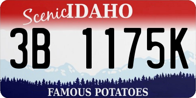 ID license plate 3B1175K