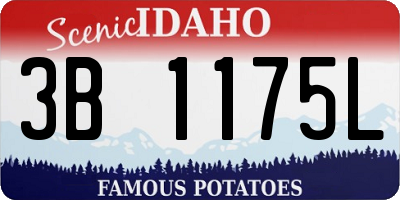 ID license plate 3B1175L