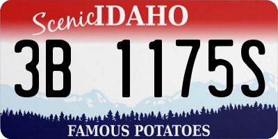 ID license plate 3B1175S