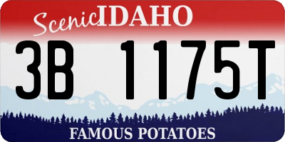 ID license plate 3B1175T