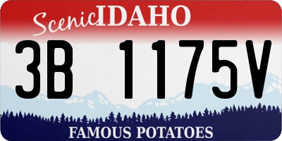 ID license plate 3B1175V