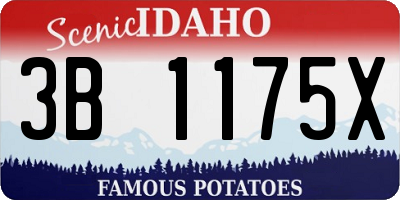 ID license plate 3B1175X