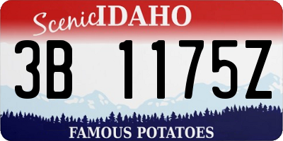 ID license plate 3B1175Z