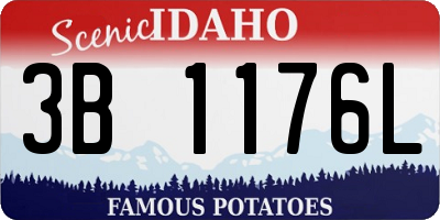 ID license plate 3B1176L