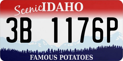 ID license plate 3B1176P