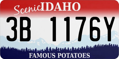 ID license plate 3B1176Y