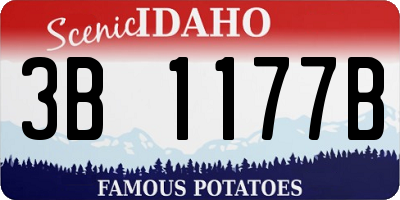 ID license plate 3B1177B