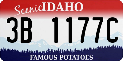 ID license plate 3B1177C