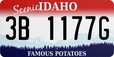 ID license plate 3B1177G