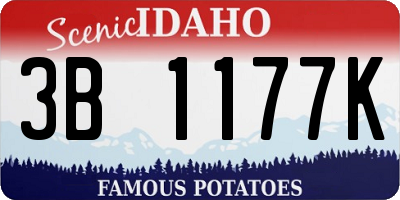 ID license plate 3B1177K