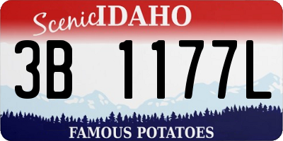ID license plate 3B1177L