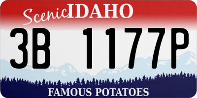 ID license plate 3B1177P