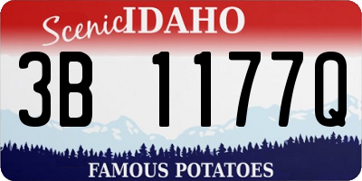 ID license plate 3B1177Q