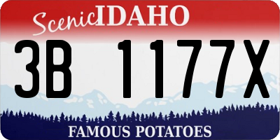 ID license plate 3B1177X