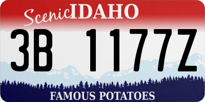 ID license plate 3B1177Z