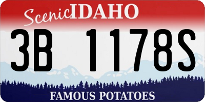 ID license plate 3B1178S