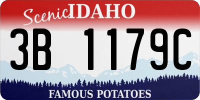 ID license plate 3B1179C