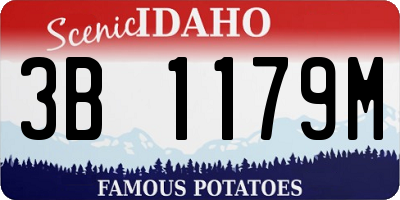 ID license plate 3B1179M