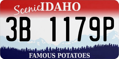ID license plate 3B1179P