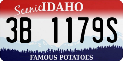 ID license plate 3B1179S