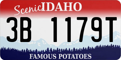ID license plate 3B1179T