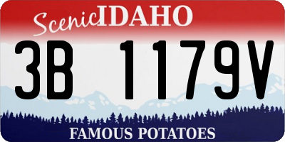 ID license plate 3B1179V